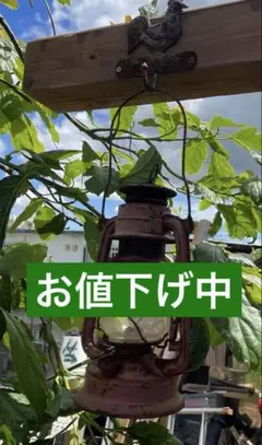 【ヴィンテージ 】【フック付き】ハリケーンランタン 225 昭和レトロ