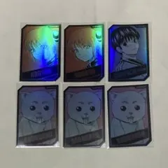 銀魂 ジャンフェス 2025 ホロカードコレクション 神楽 定春 新八