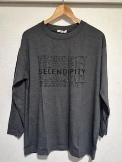 ステップロゴロンT