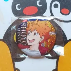 日向翔陽 ビスケット