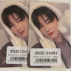 &TEAM ふわふわアニマルフォトカード 雪明かり JO 2枚セット