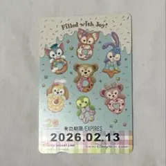 使用済み　ディズニーリゾートライン　フリー切符