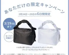 資生堂オンラインストア　クーラーランチトートのサムネイル