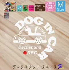 Item thumbnail for item 643e2543-4e22-4b34-90b6-1bc152f99683