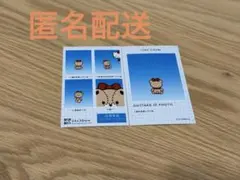 サンリオ　証明写真風スマロイド　NG集　タイニーチャム