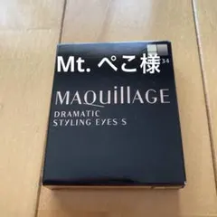 MAQuillAGE DRAMATIC EYES S BR734 マキアージュ