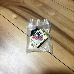体格ブラザーズ キーホルダー 平子さん