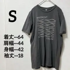 ✨匿名配送✨️ カレッジロゴTシャツ 【S】 Tシャツ メンズ レディース グレー