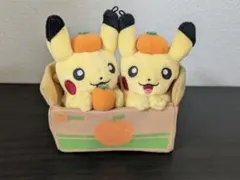 2025年最新】ペアピカチュウとえひめみかんの人気アイテム