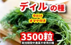 はなちゃん様 リクエスト 4点 まとめ商品