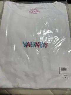 【新品】 VAUNDY ロゴ Tシャツ Blue × Pink L