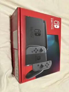 Nintendo Switch 本体 グレー 動作確認済み 付属品完備