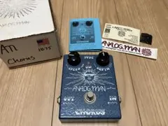 2026年最新】ANALOG MAN CHORUSの人気アイテム - メルカリ