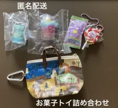 カプセルトイ詰め合わせ　ポーチ　カルディ