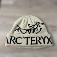 ARC'TERYX ニットビーニー グレー - メルカリ