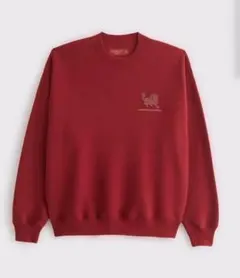 Abercrombie & Fitch スウェット レッド Sのサムネイル