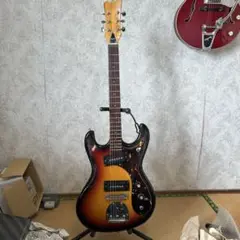 2025年最新】guyatone lg-127tの人気アイテム - メルカリ