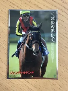 武豊騎手直筆サイン入り ヒーロー列伝 サイレンススズカ ポスター ウマ