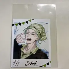 ツイステ くつろぎマイルーム フォト風カード セベク