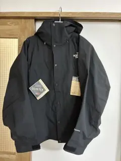 THE NORTH FACE マウンテンライトジャケット Lサイズ