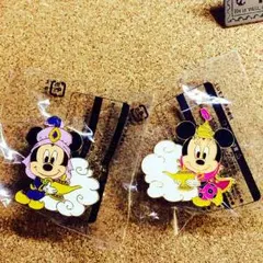 TDS アブーズバザール ミッキー ミニー