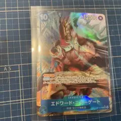ワンピースカード　エドワード・ニューゲート SRパラレル