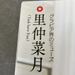 里仲菜月雑誌切り抜き（全年齢対象一般誌切り抜き）