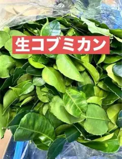 2025年最新】コブミカンの人気アイテム - メルカリ