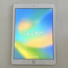 iPad 第5世代32GBWi-Fi+Cellularゴールド箱&純正アダプタ付