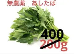 明日葉　あしたば　無農薬　青汁　うさぎ　小動物　おやつのサムネイル