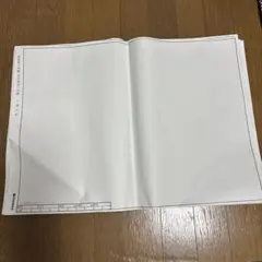 Item thumbnail for item 2199824c-c84b-42d2-a3ed-e030b91c4f95