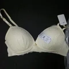 Item thumbnail for item fc1d7183-7908-4e5a-9814-79b970b8b85e