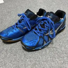 ミズノランサメントウェーブTFトレーニングシューズ 27cm ブルー