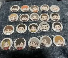 ハイキュー　Pastel Art Collection のＥ賞 缶バッジ　コンプ