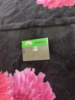 Item thumbnail for item 41a32760-c742-48c9-be4c-3ccd162b153f