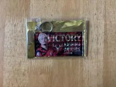 Item thumbnail for item 95d59204-1142-4d18-a016-9a7c1f2880be