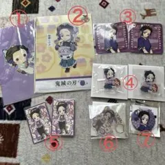 鬼滅の刃　胡蝶しのぶセット