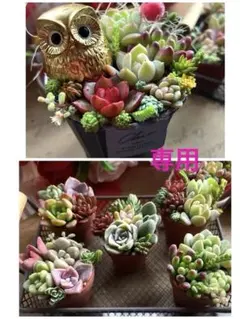 meimei様 リクエスト 2点 まとめ商品