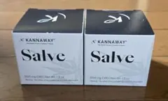 2026年最新】kannaway salveの人気アイテム - メルカリ