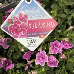 mimi *様 リクエスト 8点 まとめ商品