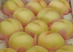 桃 白桃 白鳳 ピーチ 家庭用のサムネイル