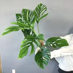 3104様 リクエスト 2点 まとめ商品