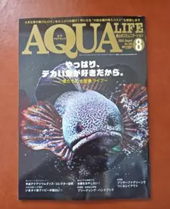 最新号！ 月刊アクアライフ 2026年8月号 - メルカリ