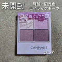 【新品・未開封】【廃盤】【限定色】キャンメイク＊シルキースフレアイズ＊05