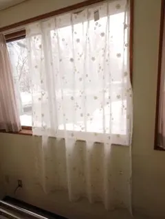 Item thumbnail for item 15f3a0ba-81fd-4606-ab42-9393d9a75646