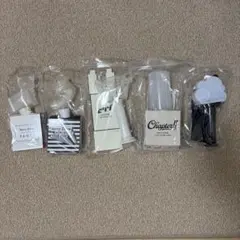 Item thumbnail for item c3bd96ca-00e0-4ba6-a578-0fa898f21fe4