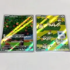 カジッチュ　ポッポ AR
