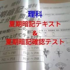 2026年最新】希学園6年の人気アイテム - メルカリ