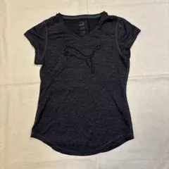 PUMA グレー ショートスリーブ Tシャツ サイズM. プーマロゴ