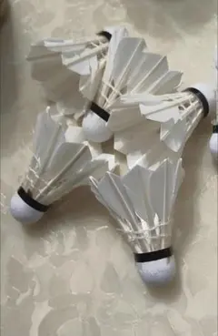 Item thumbnail for item d903db29-42e0-412c-a848-353a39ea74b9